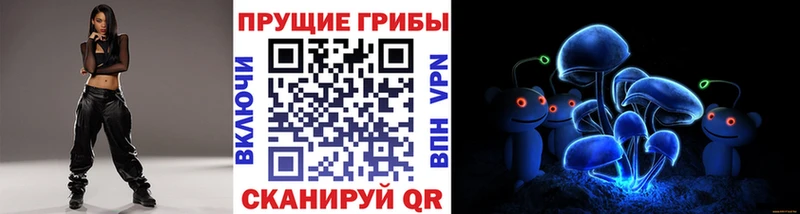 наркота  Адыгейск  Псилоцибиновые грибы мицелий 