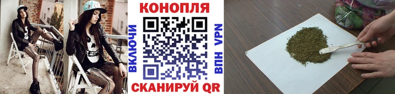 где найти   Адыгейск  МАРИХУАНА тримм 